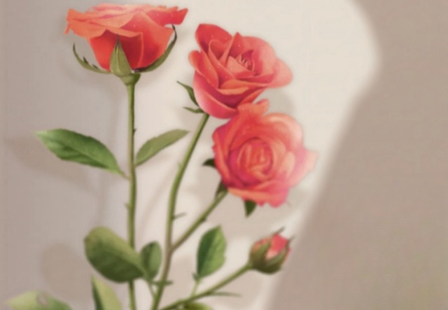 祝天下女神們節(jié)日快樂(lè)?。。? ></a>
                        <a href=